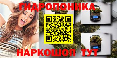 МДПВ Бердск