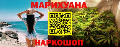 МДПВ Бердск