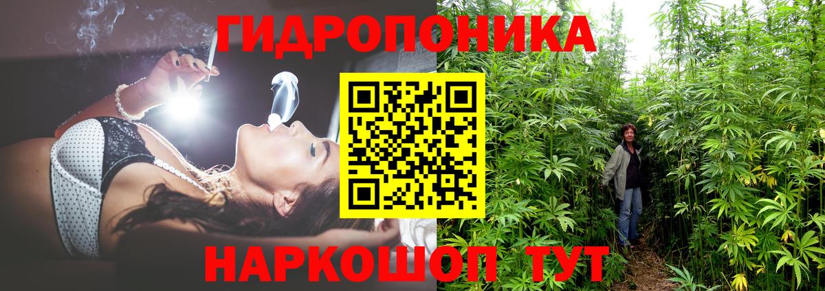 Шишки марихуана Ganja Петропавловск-Камчатский